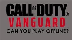 Call Of Duty Vanguard How To Run Offline

