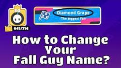 How To Change Nickname In Fall Guys

