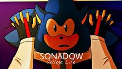Sonic And Shadow 18 Videos

