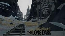 The long dark   