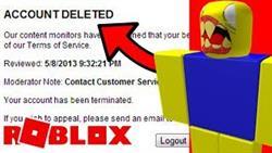What can get banned in roblox