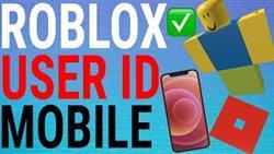 What Is Player Id In Roblox

