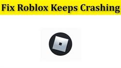Why Is Roblox Crashing On Android Phone
