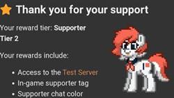 How to get supporter in pony town 2022