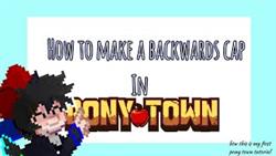 How To Make A Cape In Pony Town
