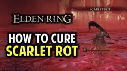 How To Protect Yourself From Red Rot Elden Ring
