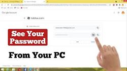 How to see password in roblox on pc