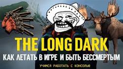     the long dark