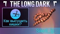     the long dark