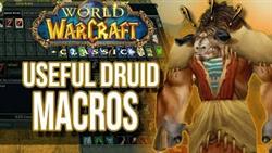 Macros The Form Of The Druid Guide Wow Classic

