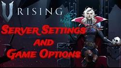 V rising server rule setting