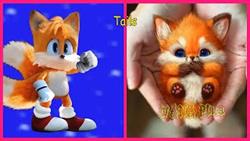 What does sonic look like in real life