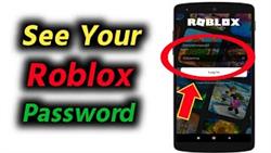 What Is The Password For Roblox On My Phone
