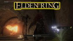 Where to find ghostly lily of the valley 7 elden ring