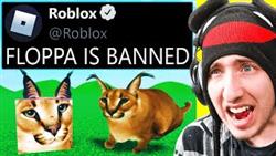 Why flop mode was removed from roblox